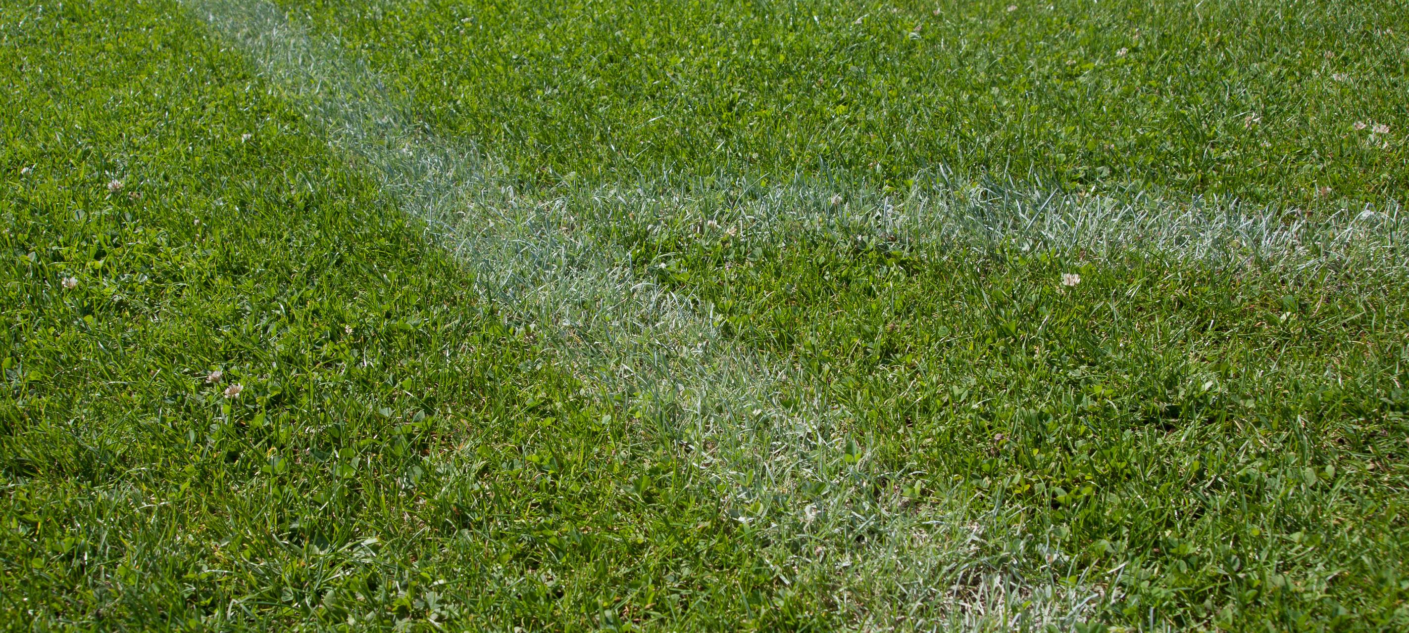 Trainerwechsel der Preußen