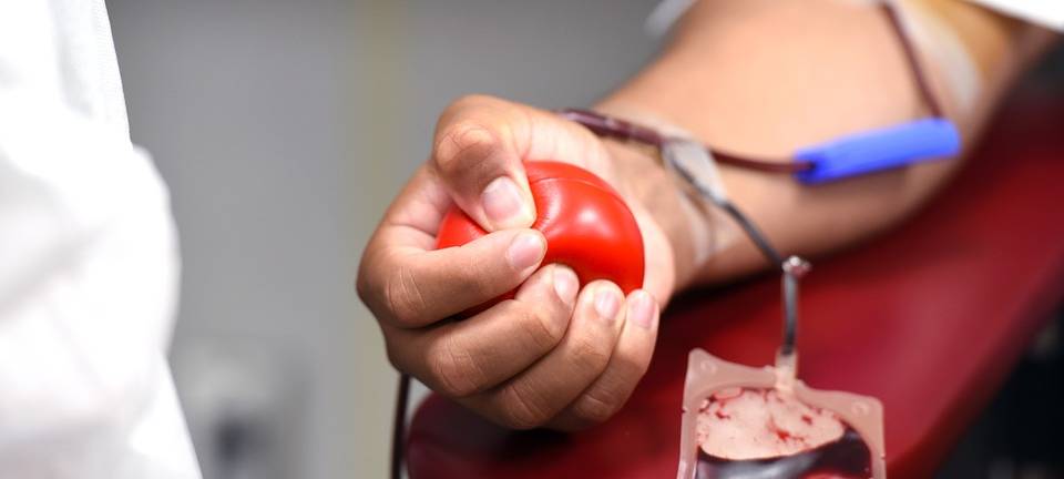 KREIS: Mehr Blutspender-Nachwuchs nötig