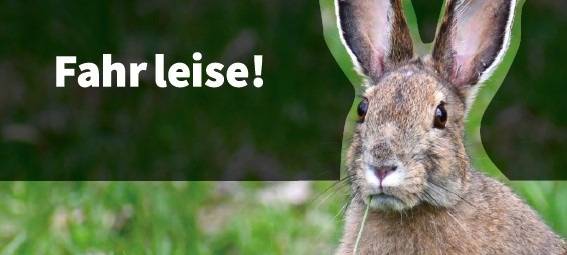 KREIS: Kampagne gegen Motorradlärm