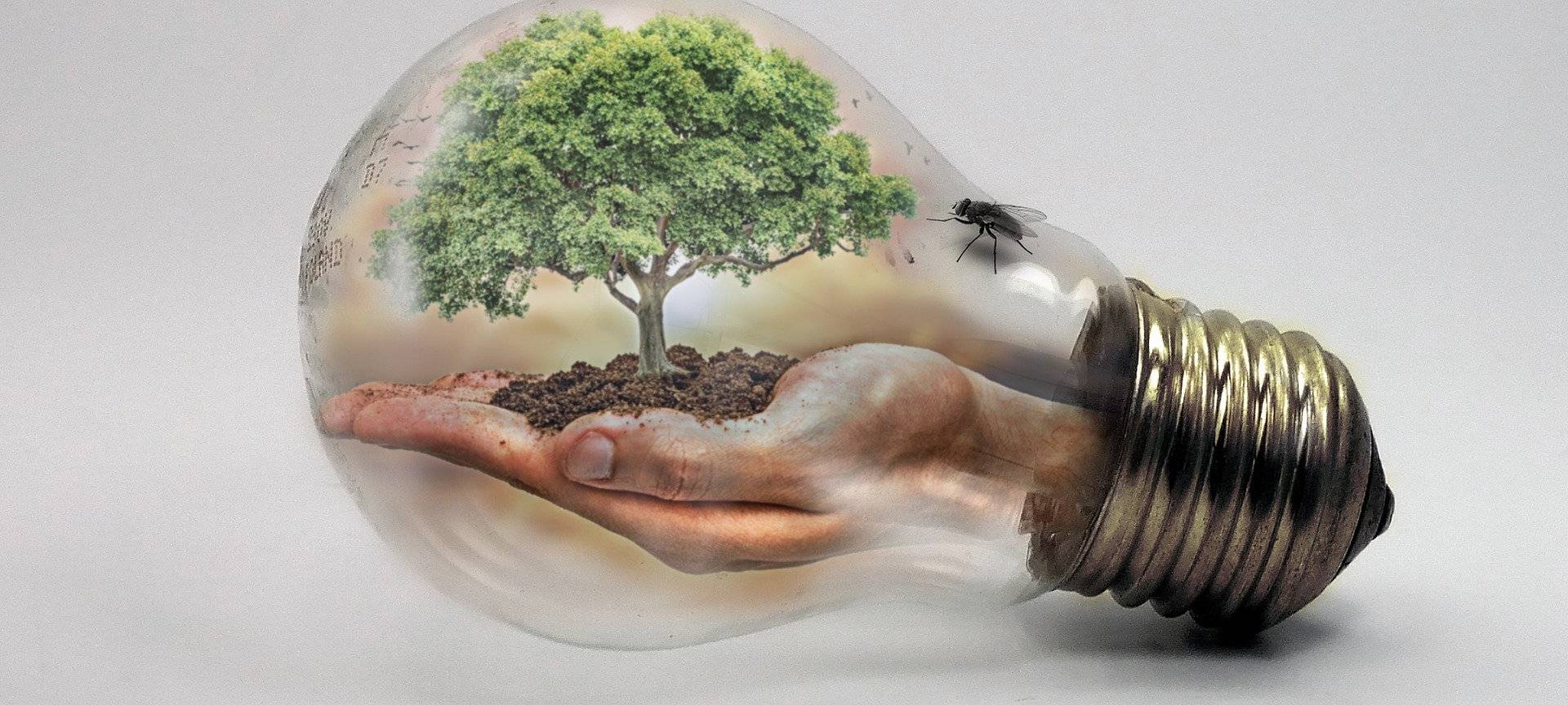 LÜDINGHAUSEN: Alltags Tipps beim Klimamarkt