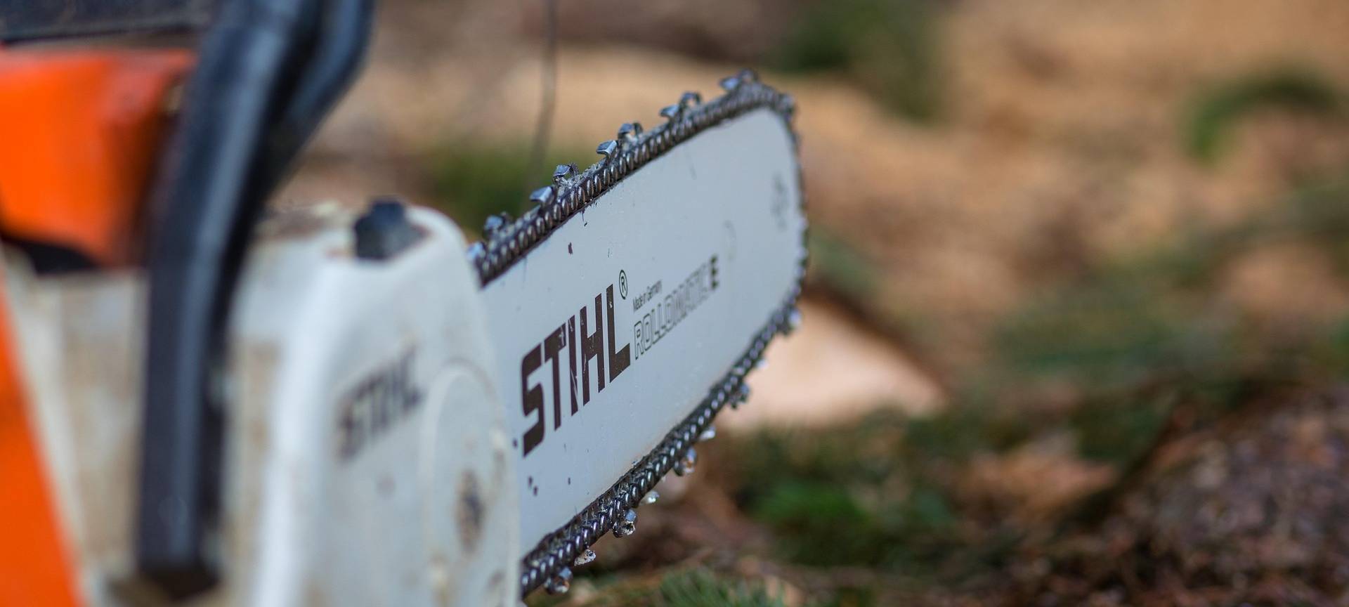 DÜLMEN: Baumfällarbeiten im Vorpark