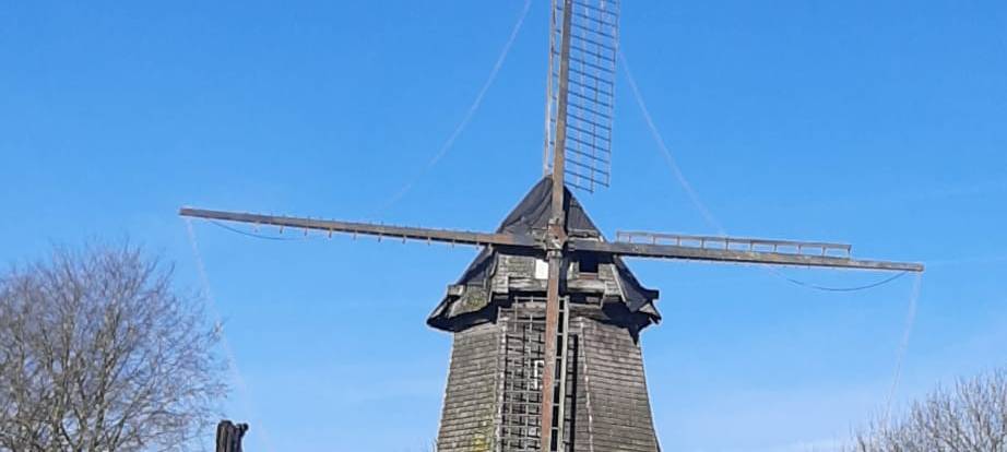 LETTE: Arbeiten an alter Windmühle gehen weiter