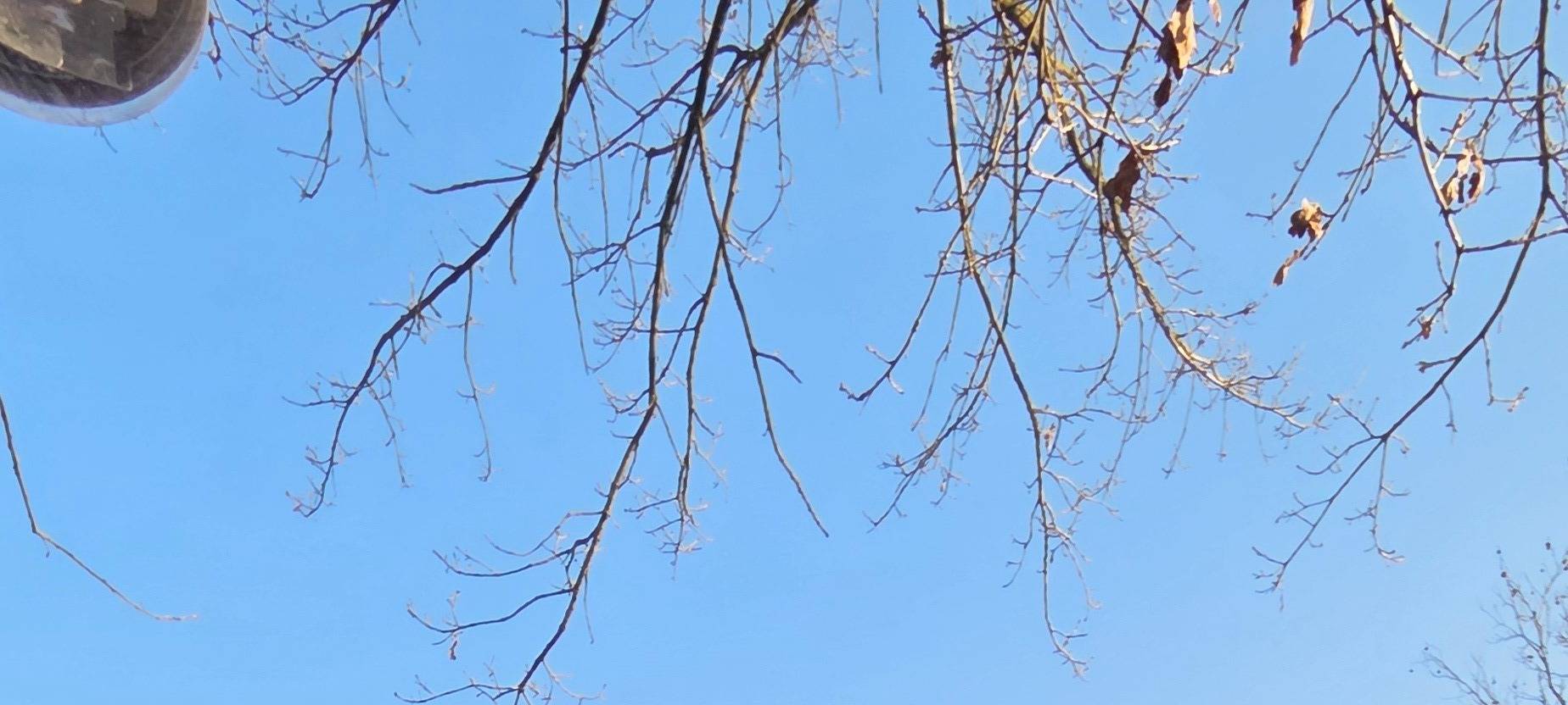 LÜDINGHAUSEN: Neue Ladestationen