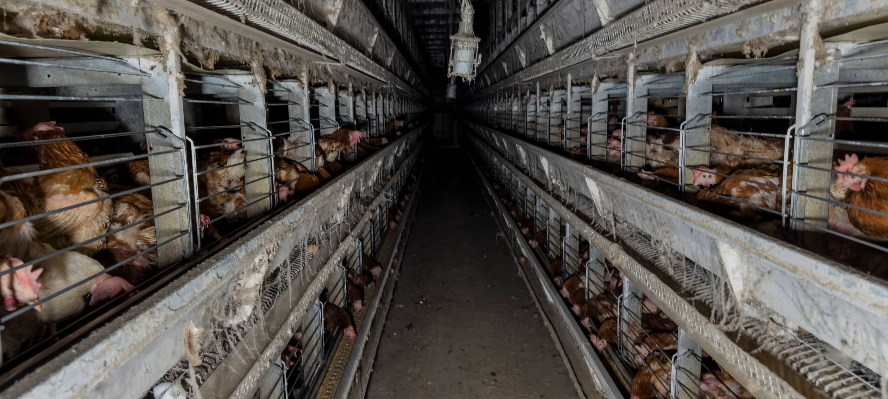 KREIS: Gründe für Ausnahmegenehmigungen